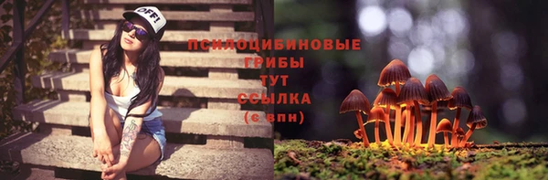 прущая мука Осташков