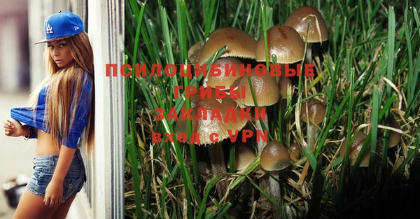 бошки Остров