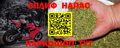 бошки Кинель