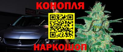 каннабис Кингисепп