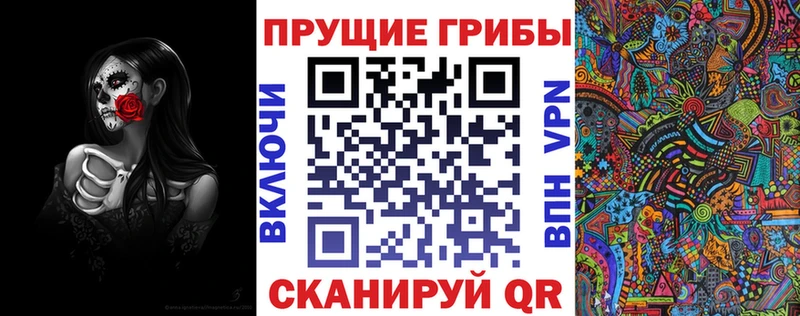 Псилоцибиновые грибы Psilocybine cubensis  Троицк 