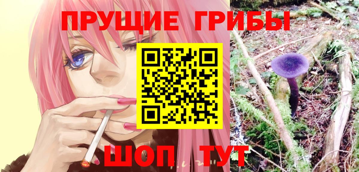 Троицк  Галлюциногенные грибы MAGIC MUSHROOMS  Вход с VPN  Псилоцибиновые грибы прущие грибы 